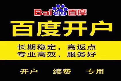 百度竞价广告在旅游行业的应用案例